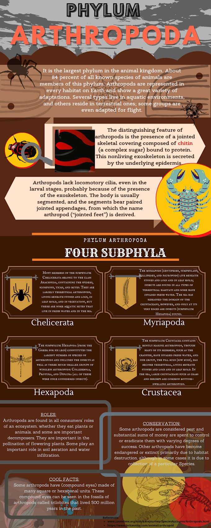 design creative educational infographics and visual graphics