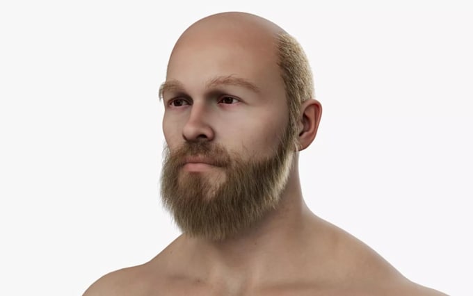 Cc5 Rig Rig and animate 3d character metahuman in cc5, reallusion iclone 8 ...