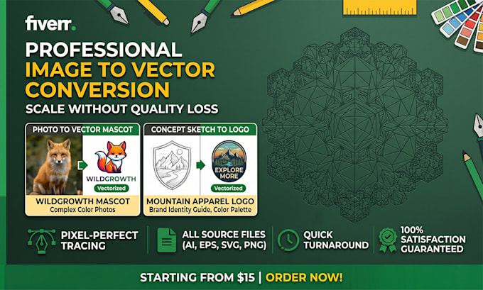 do professional image to vector conversion and vector tracing