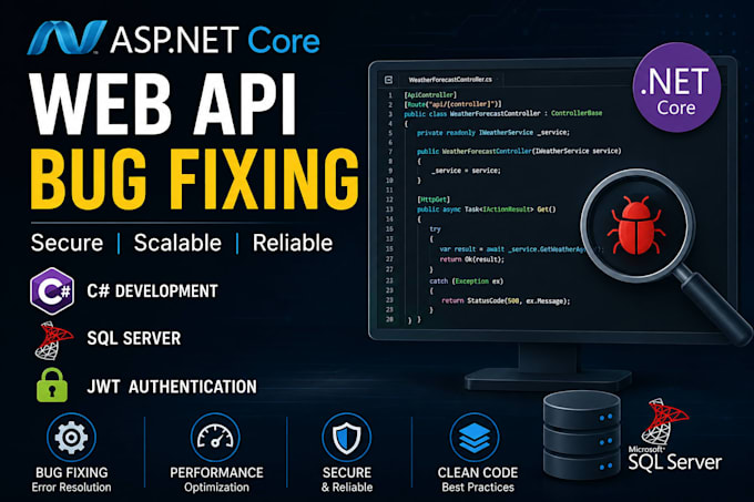 fix asp net core web api bugs and errors