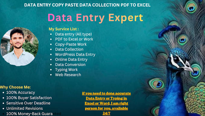 do fast accurate data entry excel copy paste work without errors