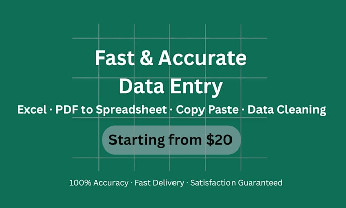 do accurate and fast data entry, copypaste, and excel work