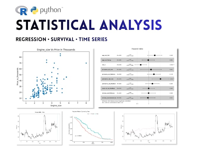 perform statistical analysis for research and academic