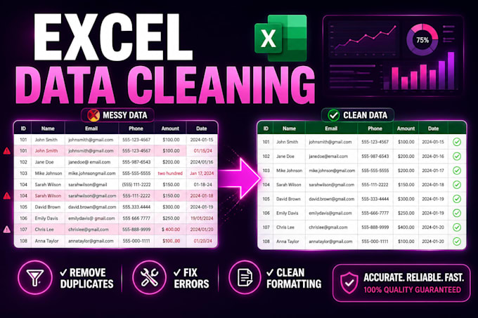 clean, format and organize excel data professionally