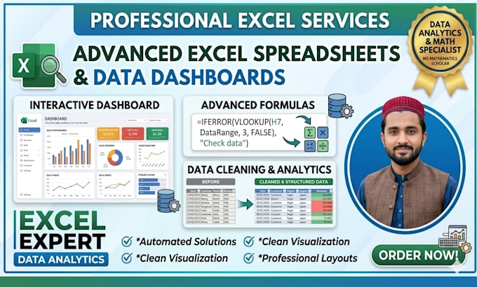 build professional excel spreadsheets, advanced formulas, and data dashboards