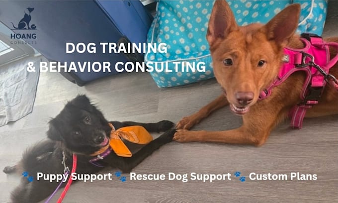 provide dog training and behavior consults