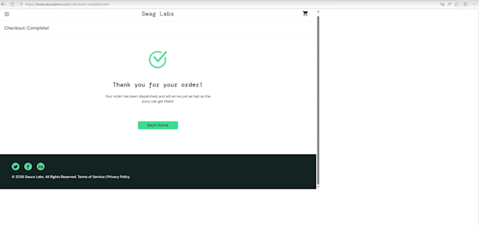 do automated website testing for you