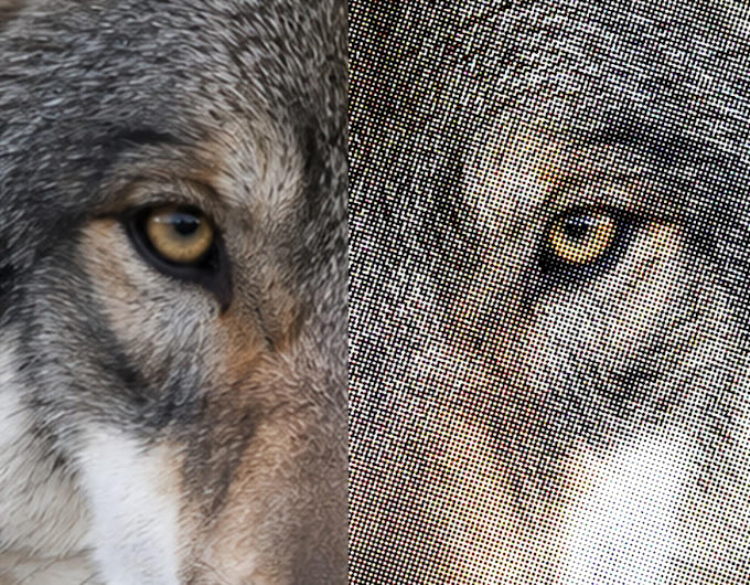 create professional halftone for dtf printing