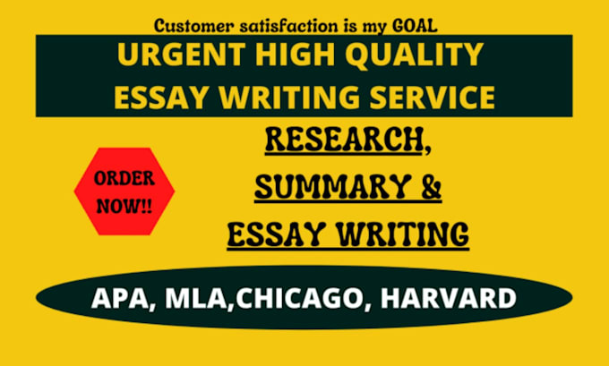 do essay writing as an essay writer