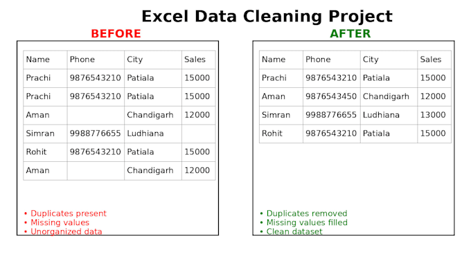 clean, format and organize excel data professionally