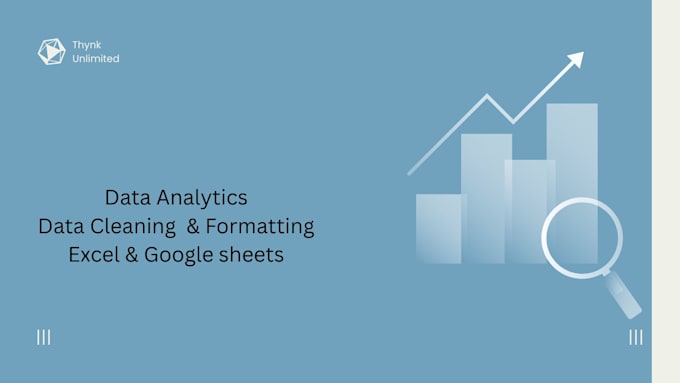 do professional data cleaning and data visualization