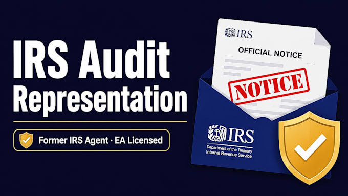provide irs audit representation and tax notice response