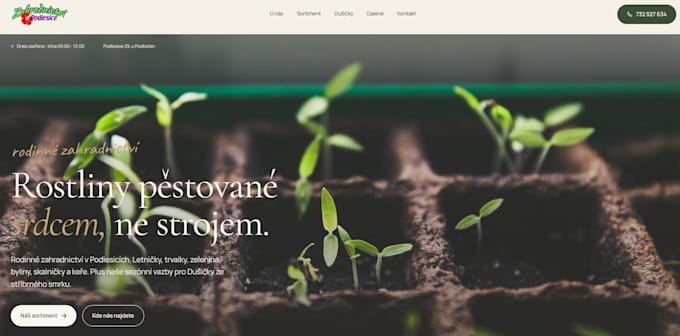 build a fast sanity cms website with next js