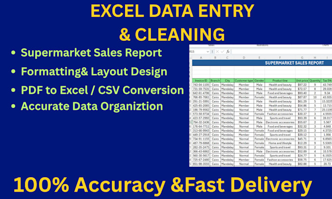 be your expert data entry and virtual assistant