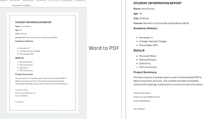 convert PDF flies to word documents accurately