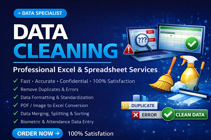 clean, organize and format your excel data with 100 percent accuracy