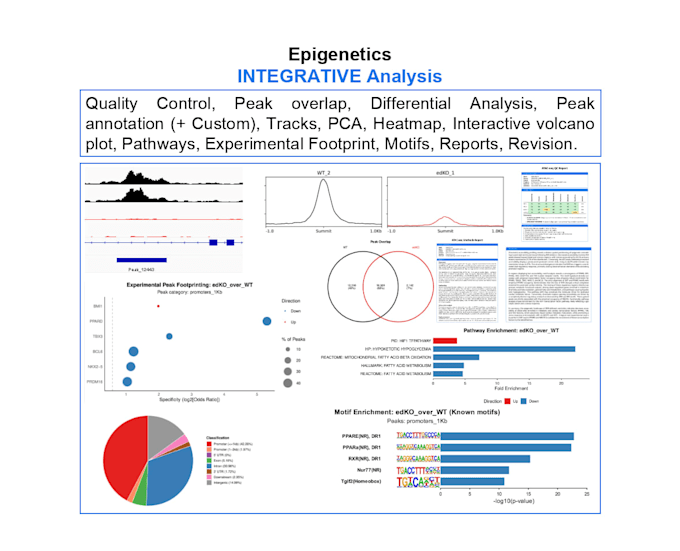 perform epigenetic analysis integrative