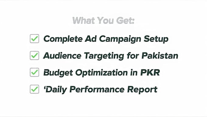 setup and manage high ROI facebook and instagram ads