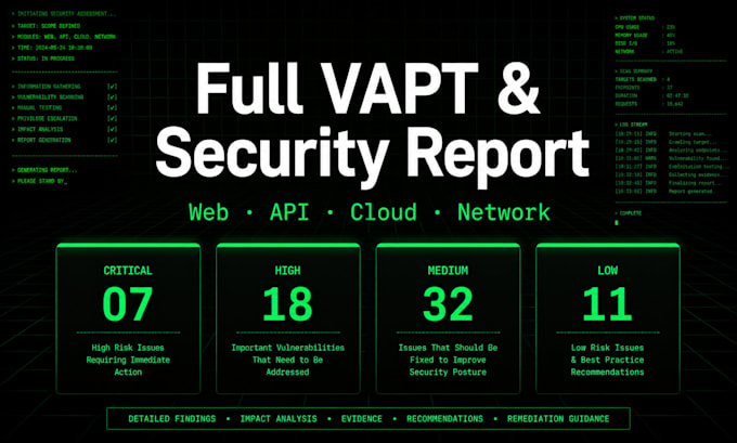 perform a full vapt and deliver a security report