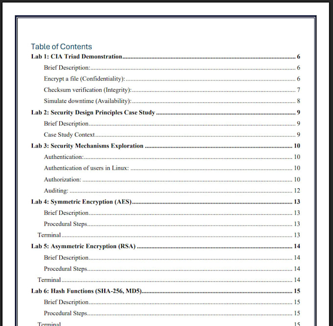 write professional technical documentation and reports