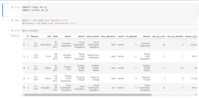 clean preprocess and prepare your dataset using python