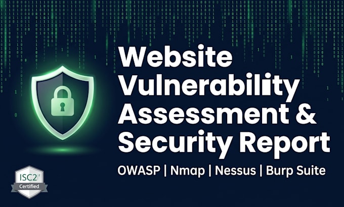 perform professional website vulnerability assessment and security report