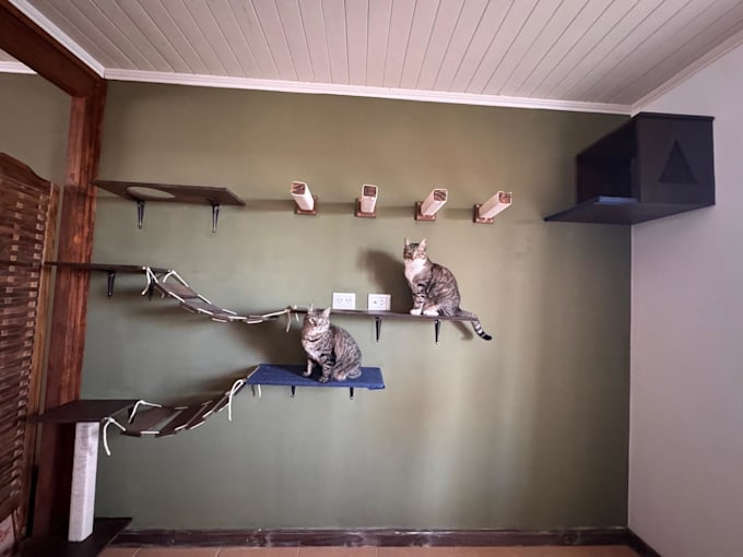 design a custom cat wall playground for your home