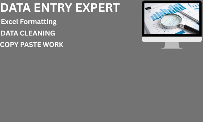 do professional data entry and microsoft excel formatting
