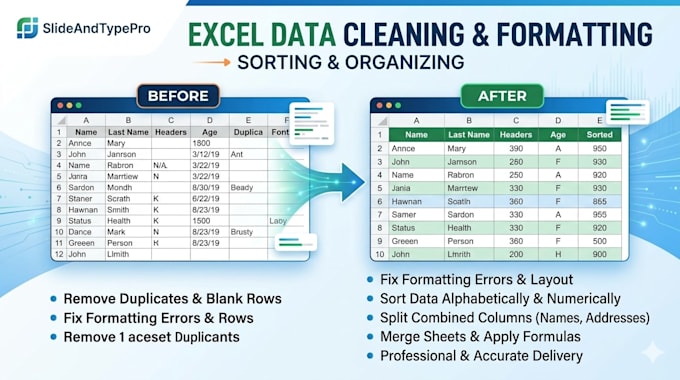 do professional excel data cleaning, formatting, and sorting