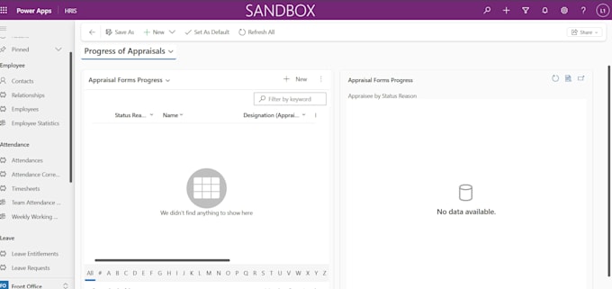 develop custom IT solutions and CRM automation workflows