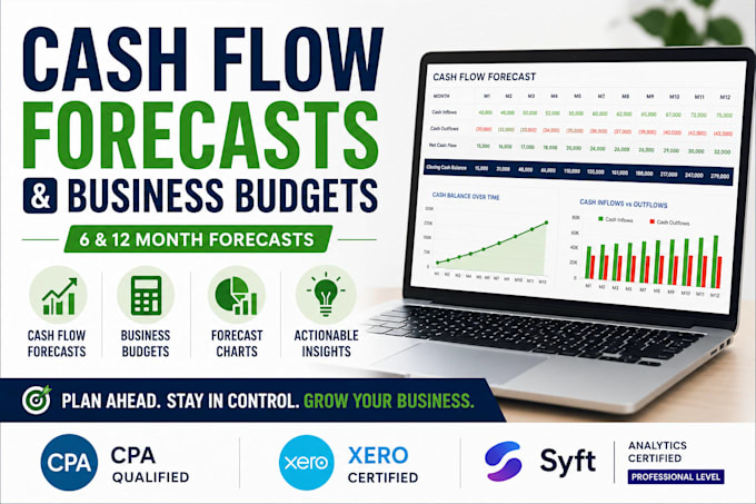 create a cash flow forecast and business budget