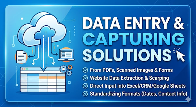 do professional data entry and accurate data capturing