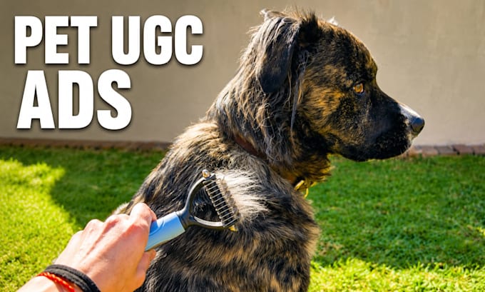 create dog product videos for pet brands