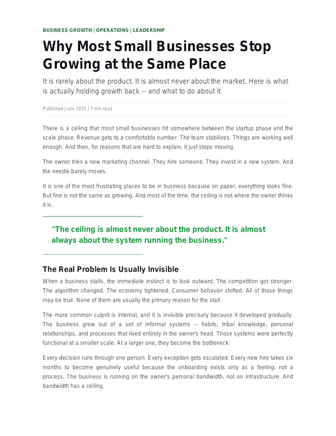 write professional SEO blogs, articles and newsletters