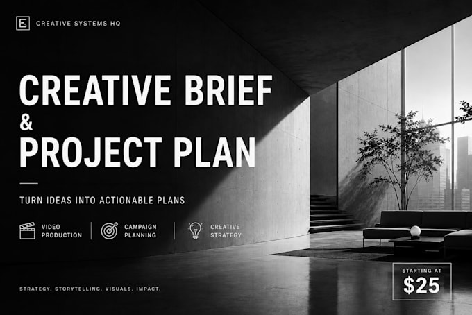 create a professional creative brief and project plan