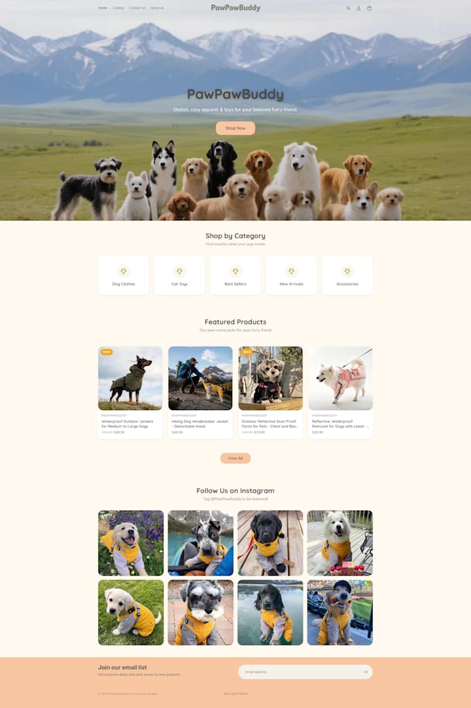 shopify theme customization and development