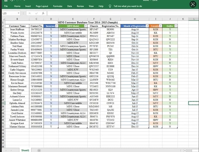 do professional data entry and exc