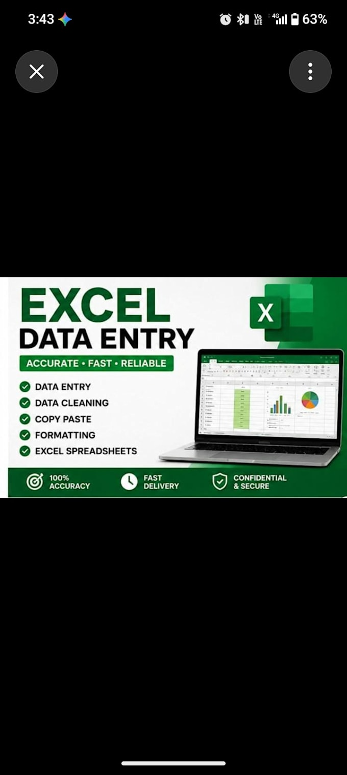 do excel data entry, cleaning, formatting or spreadsheet organization ex