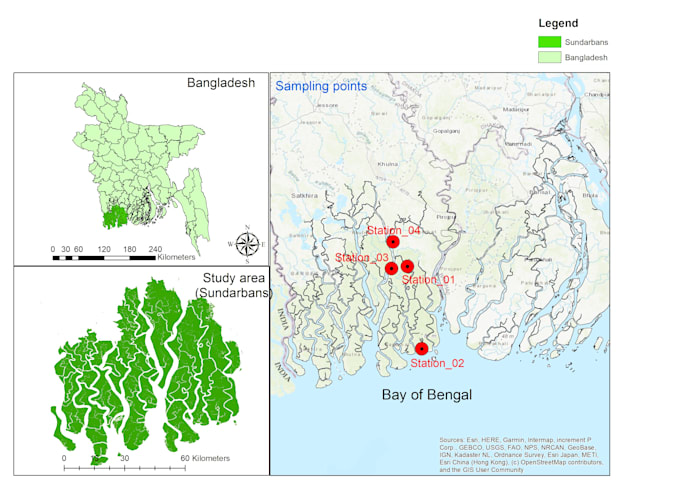 perform professional gis spatial analysis and mapping