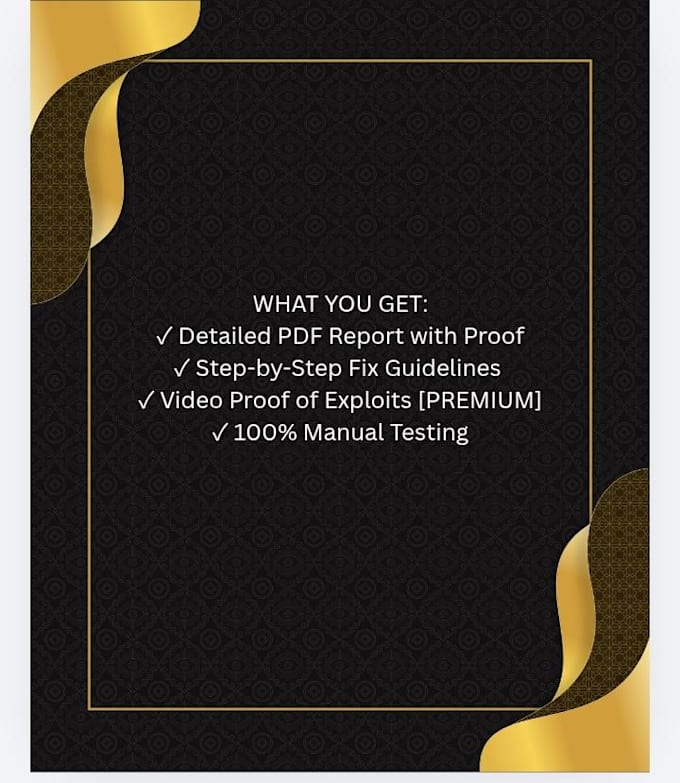 do manual website security audit in 24 hours with video proof