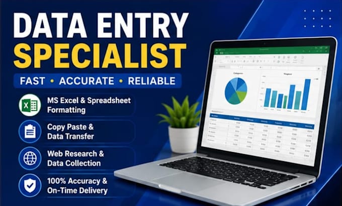do accurate data entry and excel spreadsheet work