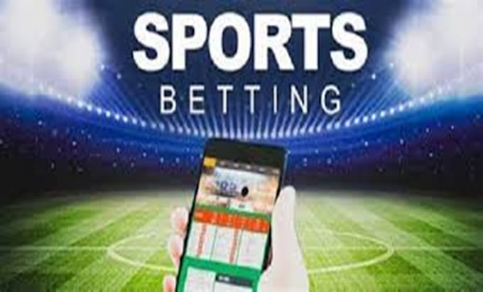 develop website, sport app, gamble site, gamble website