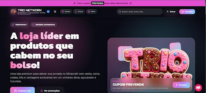 professional web developer custom websites