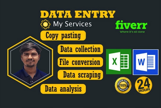 do professional data entry, excel data cleaning and dashboard for your bussiness