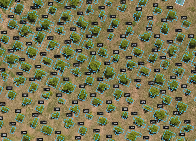 process drone data, create orthomosaics and operational maps
