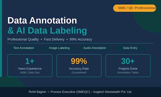 do professional data annotation, data entry, and ai training data labeling
