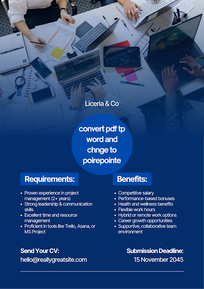 professional web development and custom programming codes