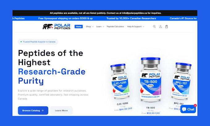 shopify store website wix website