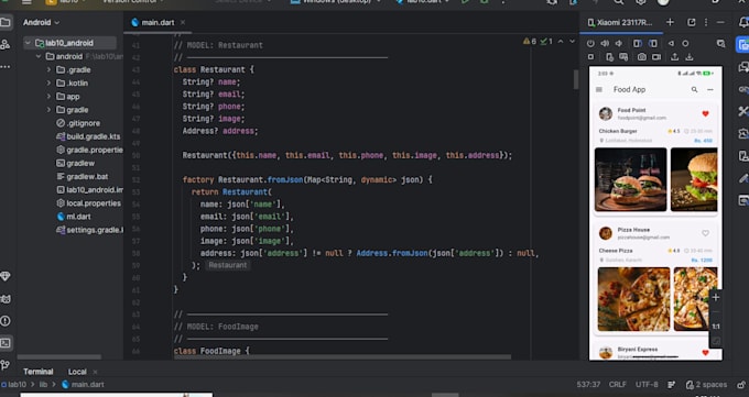 develop a professional flutter mobile app for android and ios