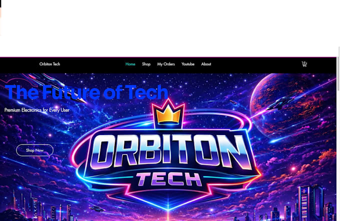 make a profesional website